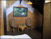 Indonesie  vvbvanbree 3884