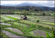 Indonesie  vvbvanbree 3892