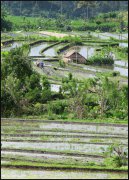 Indonesie  vvbvanbree 3893