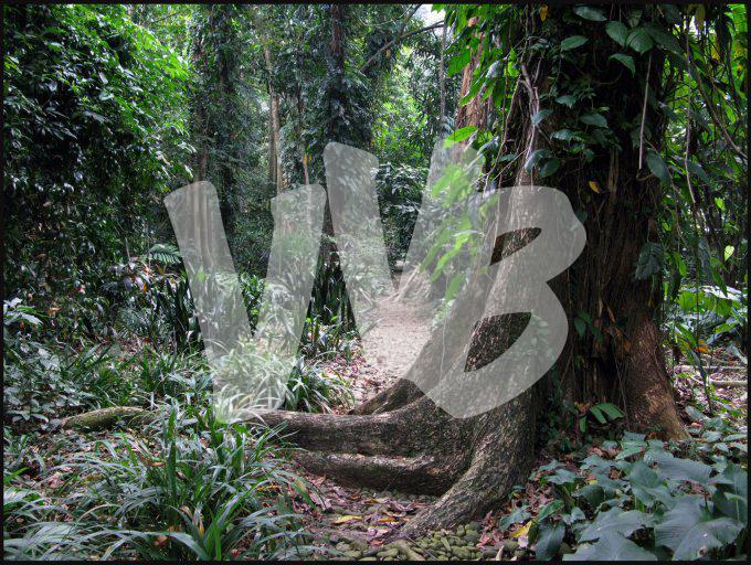 Indonesie  vvbvanbree 3915