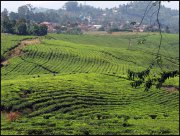 Indonesie  vvbvanbree 3933