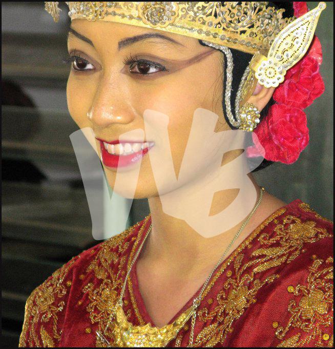 Indonesie  vvbvanbree 3966