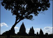 Indonesie  vvbvanbree 4042