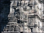Indonesie  vvbvanbree 4048