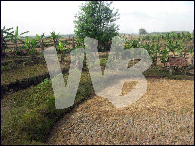 Indonesie  vvbvanbree 4086