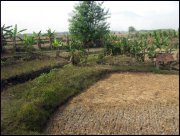 Indonesie  vvbvanbree 4086