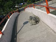 Indonesie  vvbvanbree 4093