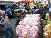 Indonesie  vvbvanbree 4121