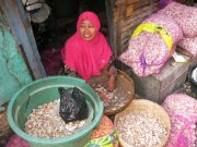 Indonesie  vvbvanbree 4124
