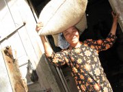 Indonesie  vvbvanbree 4126