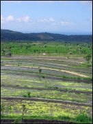 Indonesie  vvbvanbree 4148