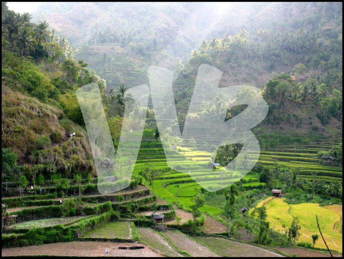 Indonesie  vvbvanbree 4158