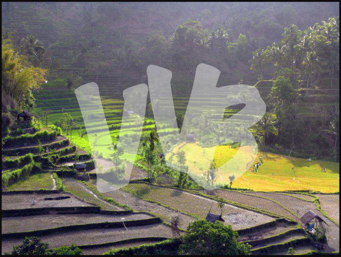 Indonesie  vvbvanbree 4159