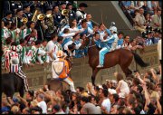 Italie  vvbvanbree 4325