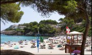 Mallorca vvbvanbree  1462