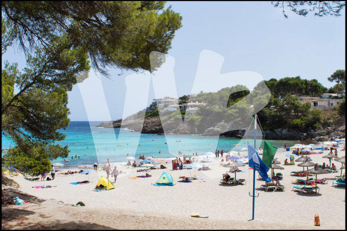 Mallorca vvbvanbree  1463