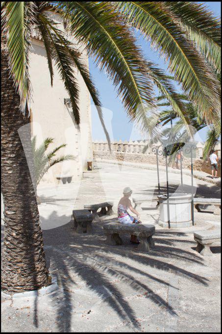 Mallorca vvbvanbree  1466