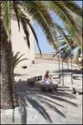 Mallorca vvbvanbree  1466