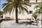 Mallorca vvbvanbree  1467