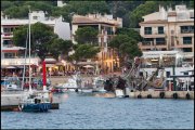 Mallorca vvbvanbree  1469