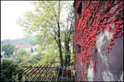 Praag vvbvanbree 3827