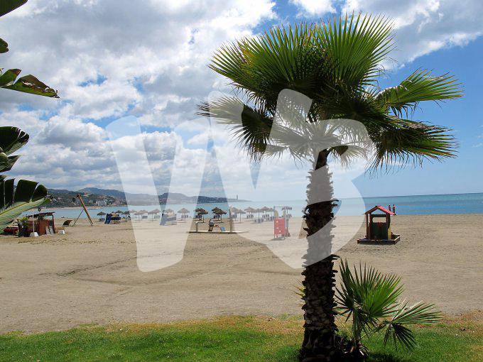 Malaga vvbvanbree4585
