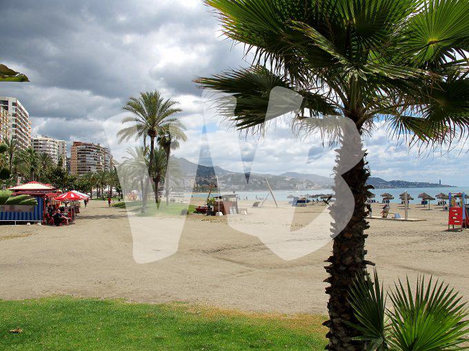 Malaga vvbvanbree4587
