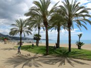 Malaga vvbvanbree4588