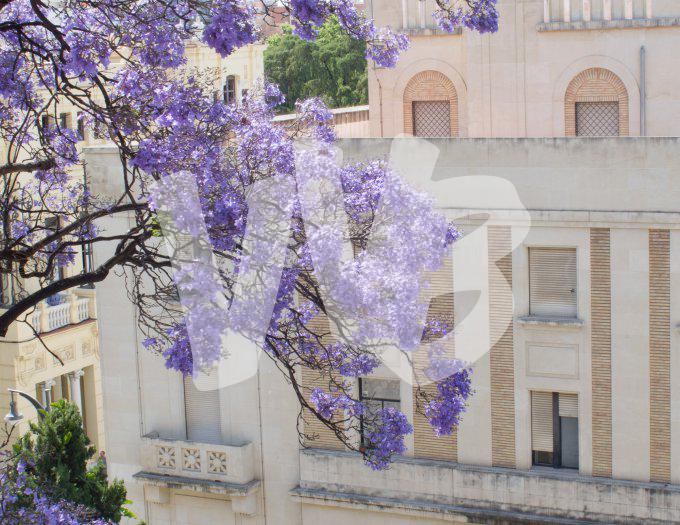 Malaga  vvbvanbreeIMG_0195
