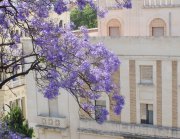 Malaga  vvbvanbreeIMG_0195