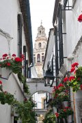 Spanje    vvbvanbree  1494