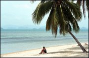thailand  vvbvanbree4560