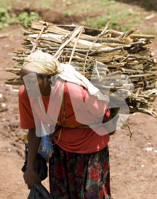 Ethiopie vvbvanbree  1302 kopieI