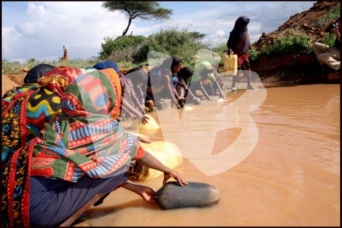 Ethiopie vvbvanbree  1306 kopieI