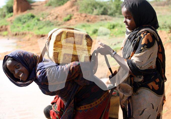 Ethiopie vvbvanbree  1307 kopieI