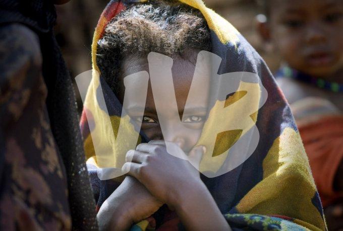 Ethiopie vvbvanbree  1311 kopieI