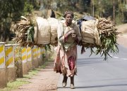 Ethiopie vvbvanbree  1329 kopieI