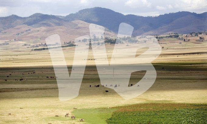 Ethiopie vvbvanbree  1330 kopieI
