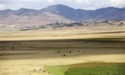 Ethiopie vvbvanbree  1330 kopieI