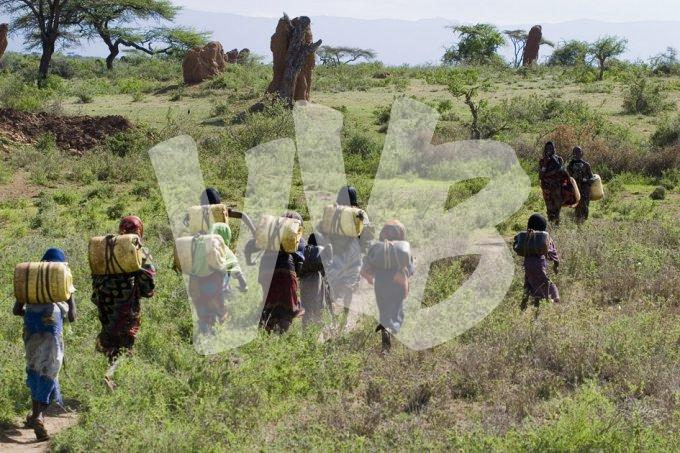 Ethiopie vvbvanbree  1332 kopieI