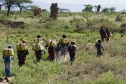 Ethiopie vvbvanbree  1332 kopieI