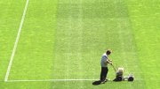Gelredome diverse opn.  vvbvanbree 3480 kopiëren