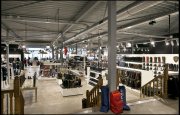 Appeljeck paardenwinkel vvbvanbree  4471 kopiëren