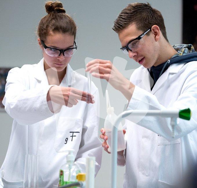 diverse onderwijs vvbvanbree  4915 kopiëren