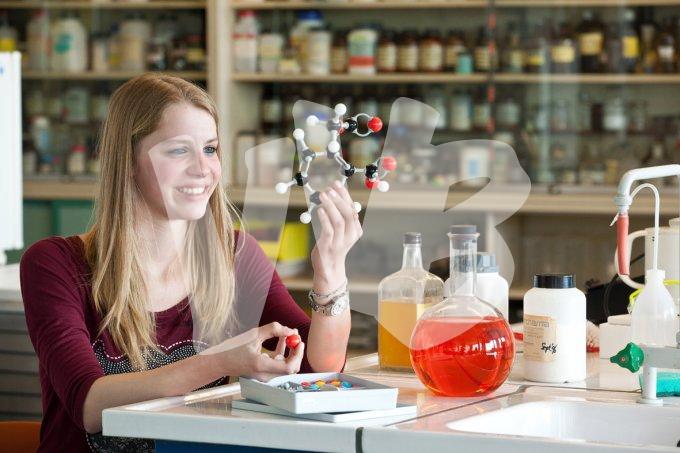 diverse onderwijs vvbvanbree  4932 kopiëren