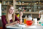 diverse onderwijs vvbvanbree  4932 kopiëren