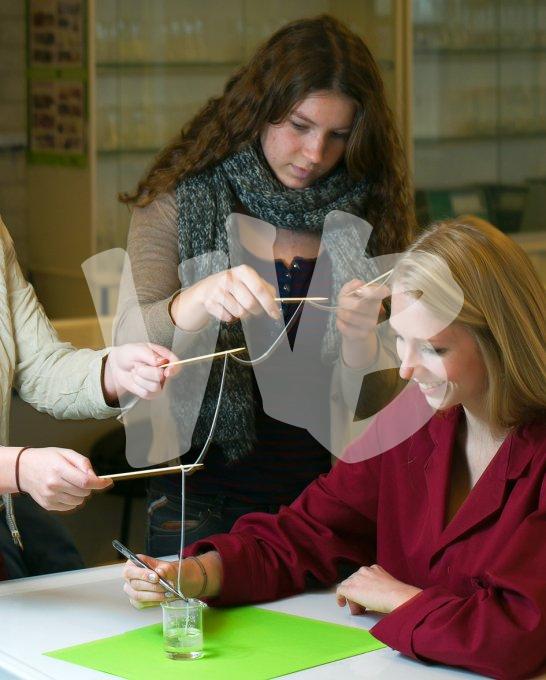 diverse onderwijs vvbvanbree  4934 kopiëren