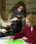 diverse onderwijs vvbvanbree  4934 kopiëren
