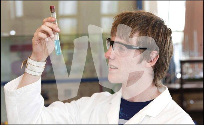 diverse onderwijs vvbvanbree  5022 kopiëren