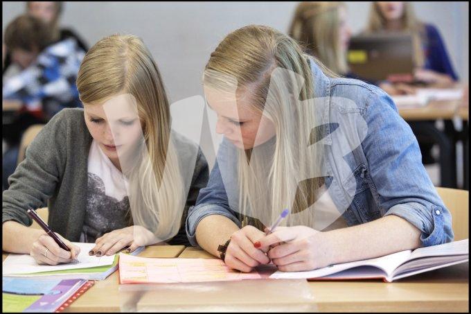 diverse onderwijs vvbvanbree  5042 kopiëren